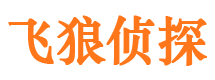 番禺侦探调查公司